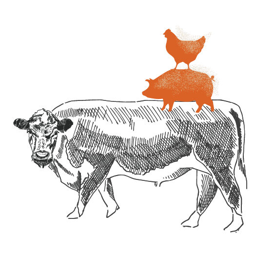 Los Animales